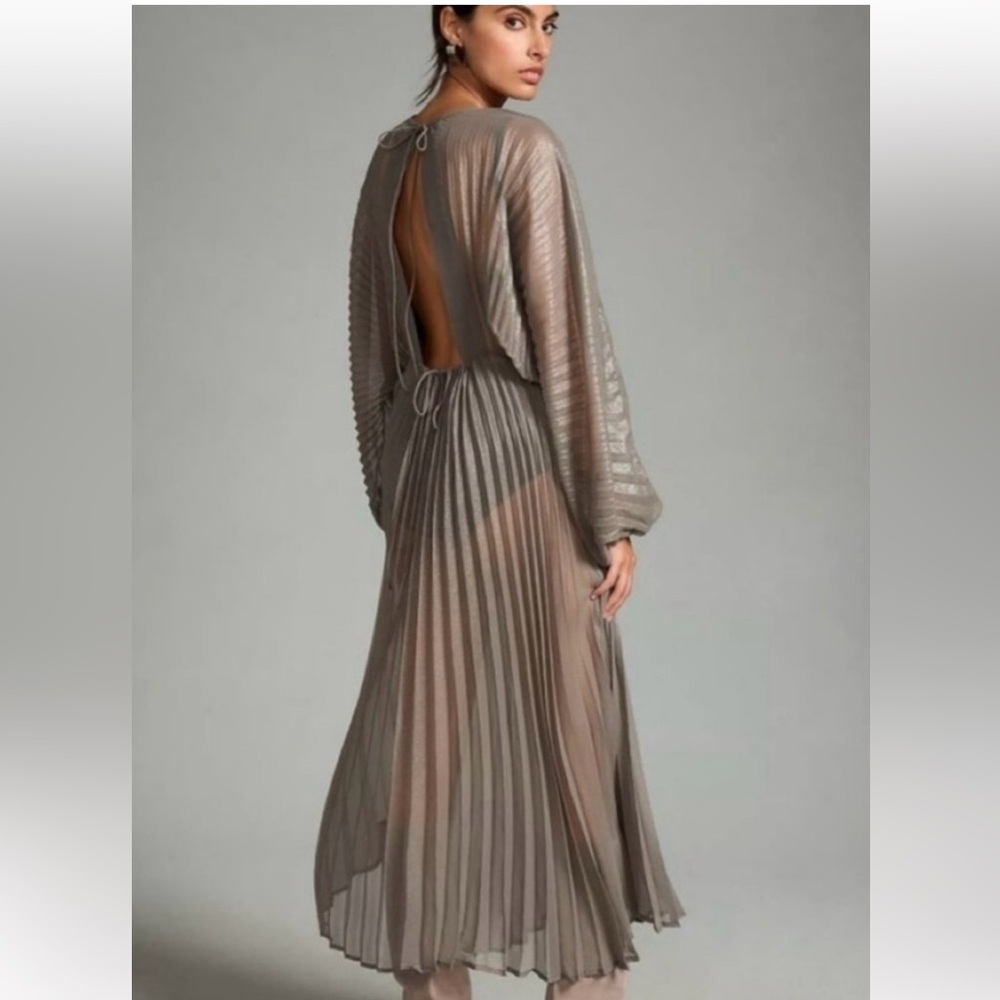 Anthropologie Sheer Pleated Taupe Maxi Dress - Picture 2 of 9